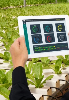 Agricultural environment monitoring