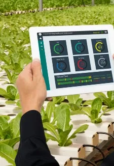 Home 3 Agricultural environment monitoring