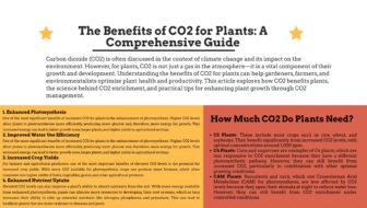 The Benefits of CO2 for Plants