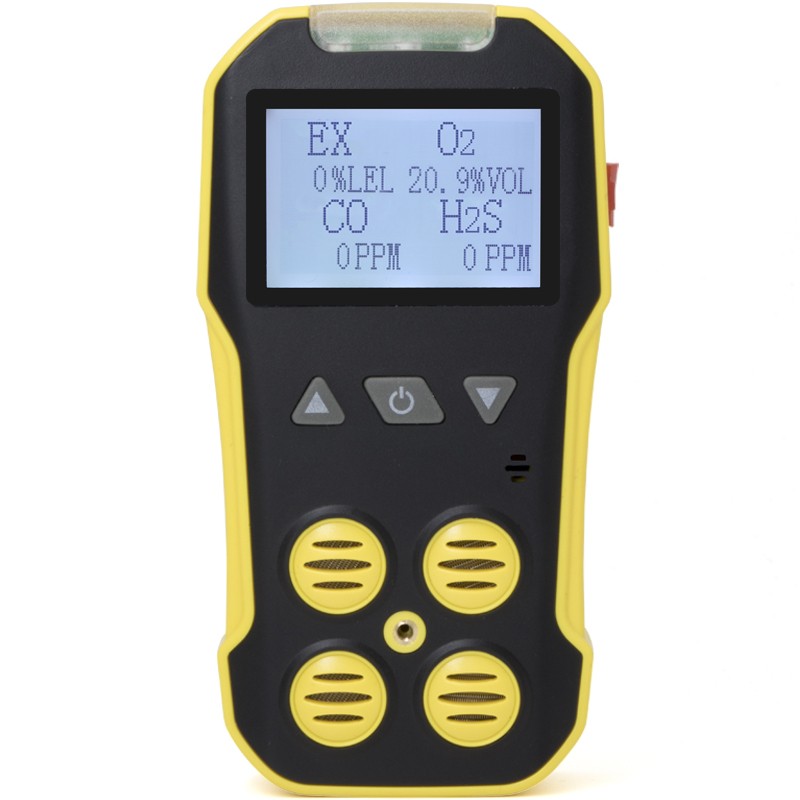 BH 4A Portable Multi Gas Detector 2