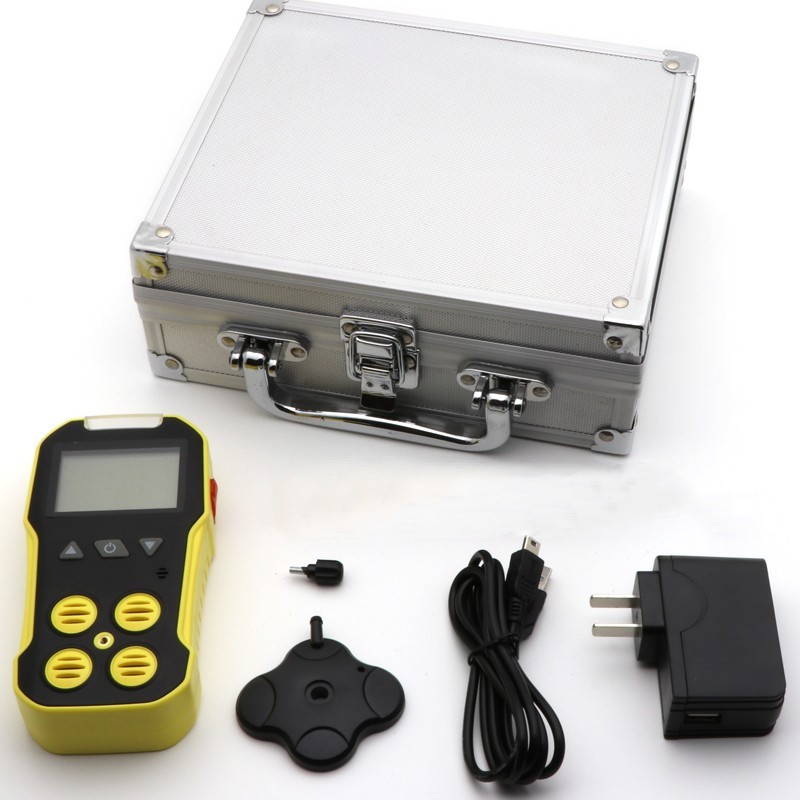 BH 4A Portable Multi Gas Detector 4