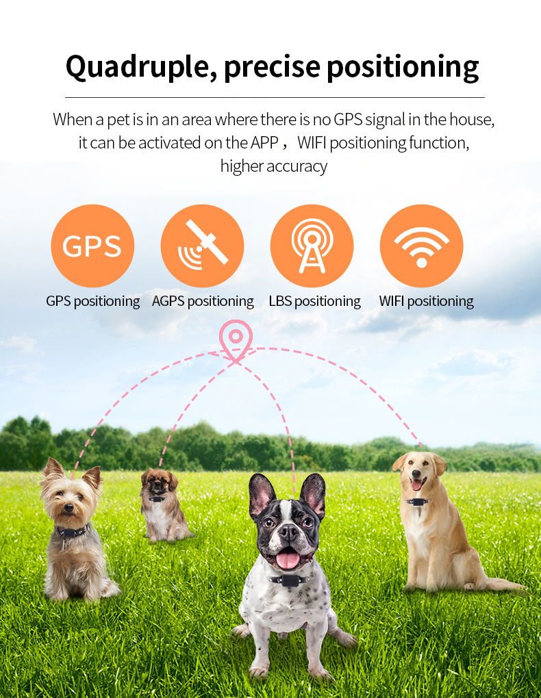 P03 PET GPS locator 5