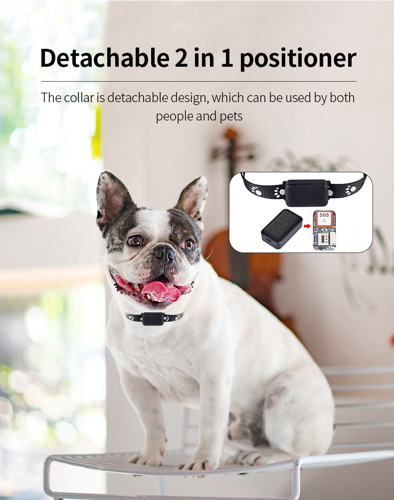 P03 PET GPS locator 6