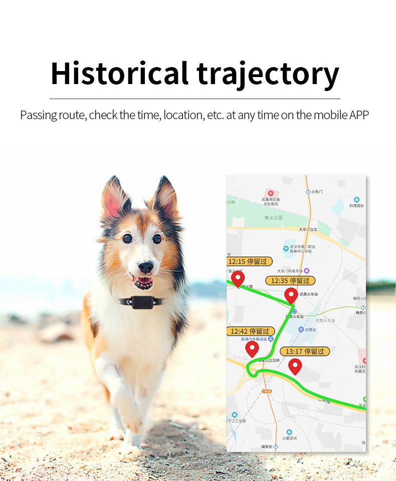P03 PET GPS locator 7
