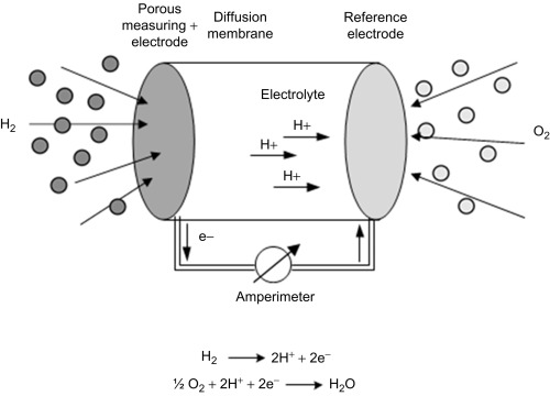 Electrochemical sensor